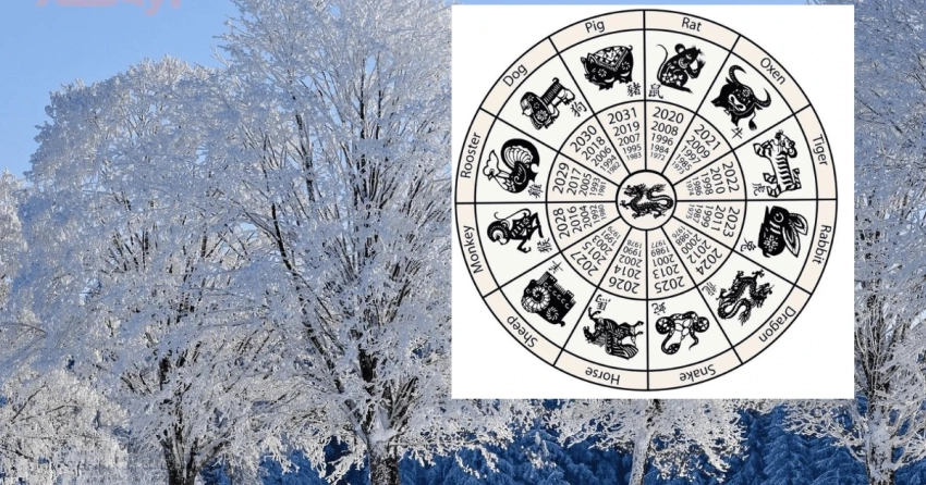 Три китайские знака зодиака будут на седьмом небе от счастья весь январь 2026