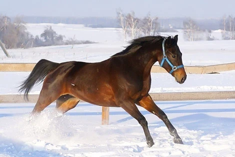 Какие интересные праздники отмечаются 9 января 2026 года